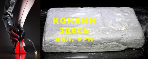 стафф Ельня