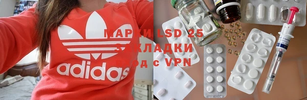 мдпв Елабуга