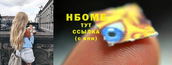 стафф Ельня
