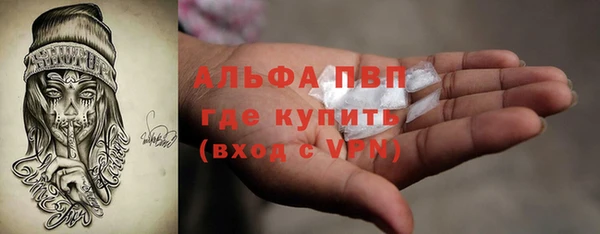 мдпв Елабуга
