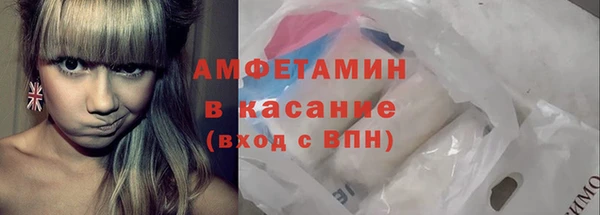 стафф Ельня