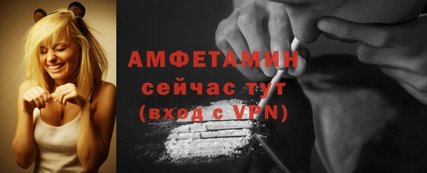 стафф Ельня