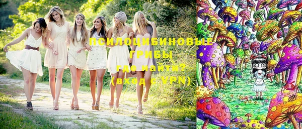 стафф Ельня