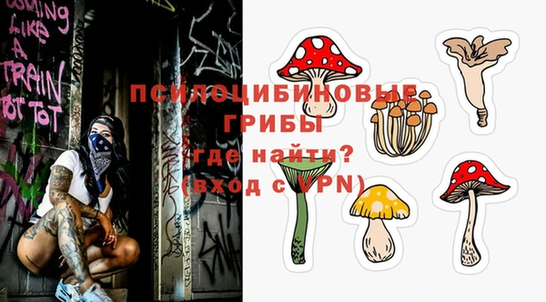 мдпв Елабуга