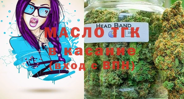 мдпв Елабуга