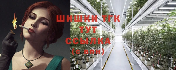 стафф Ельня