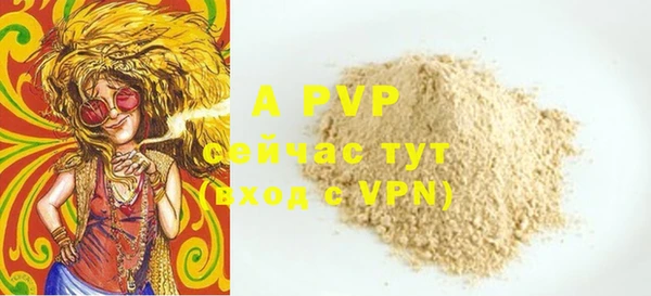 мдпв Елабуга