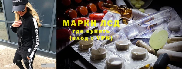 мдпв Елабуга