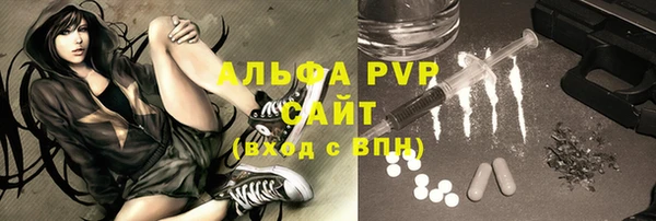 стафф Ельня