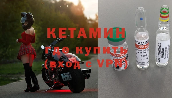 стафф Ельня