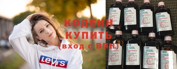 мдпв Елабуга