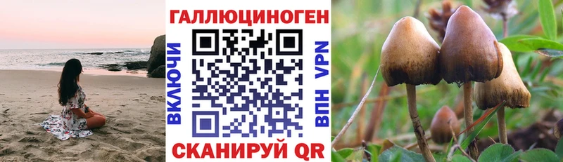 Псилоцибиновые грибы Psilocybine cubensis  Каменка 