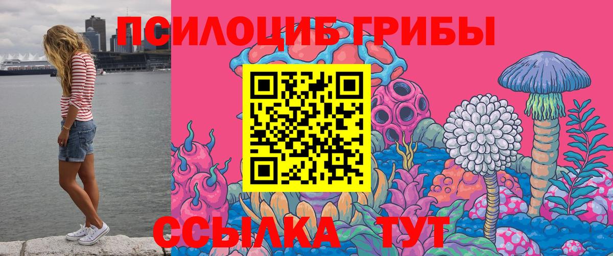 Псилоцибиновые грибы мухоморы  Вход с VPN  Каменка 