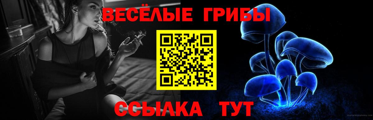 Галлюциногенные грибы мицелий Каменка